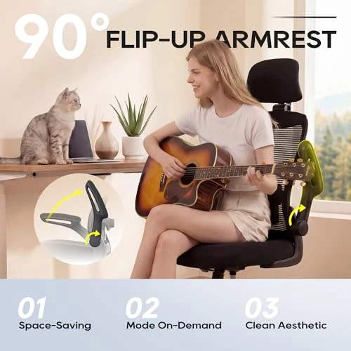 Ergonomic Office Chair — Smart Chairs, Zeonsit