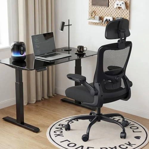 Ergonomic Office Chair — Smart Chairs, Zeonsit