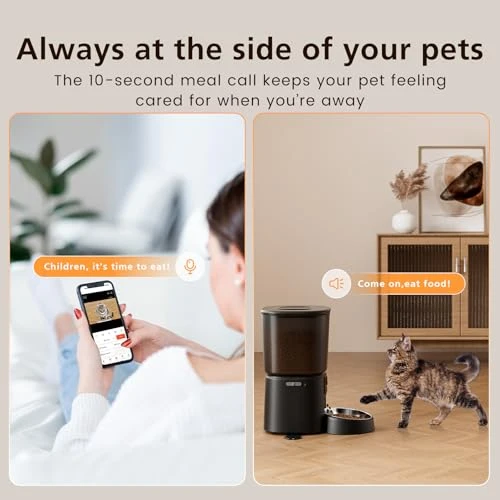 Automatic Pet Feeder with Camera — Automatic Pet Feeder, Petrice