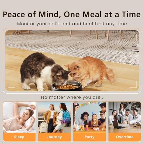 Automatic Pet Feeder with Camera — Automatic Pet Feeder, Petrice