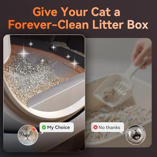 Self Cleaning Litter Box for Multiple Cats — Self-Cleaning Litter Box, Coziley