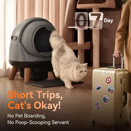 Self Cleaning Litter Box for Multiple Cats — Self-Cleaning Litter Box, Coziley