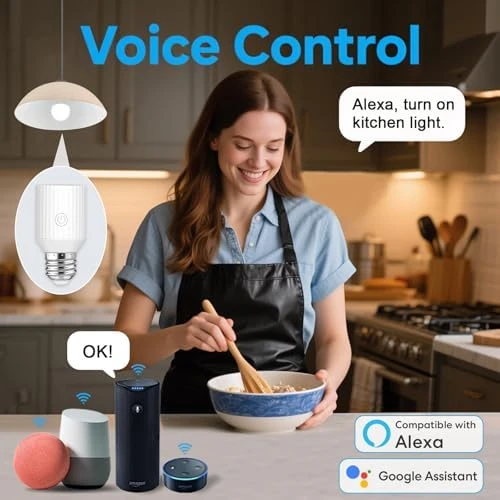 Smart Wi-Fi Light Bulb Socket Adapter — Smart Light Bulb, LoraTap