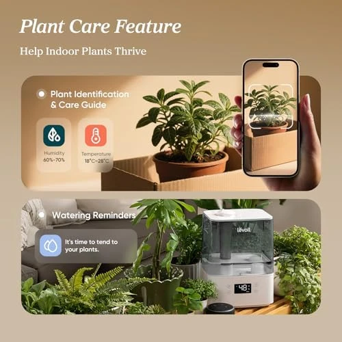 Large Room Cool Mist Humidifier with Essential Oil Diffuser — Humidifier, LEVOIT