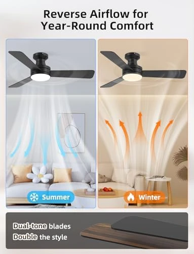 RGB Ceiling Fan with Light — Smart Fan, Homlit