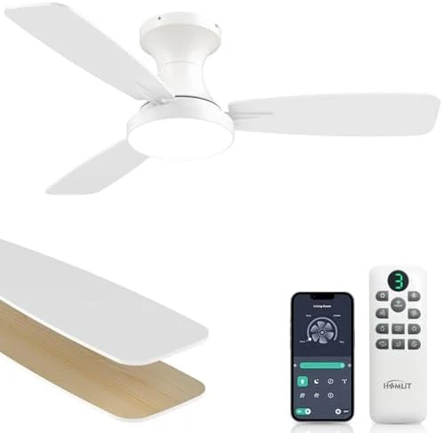 RGB Ceiling Fan with Light — Smart Fan, Homlit