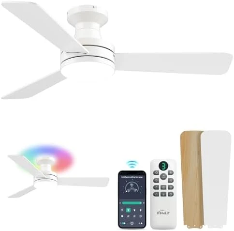RGB Ceiling Fan with Light — Smart Fan, Homlit