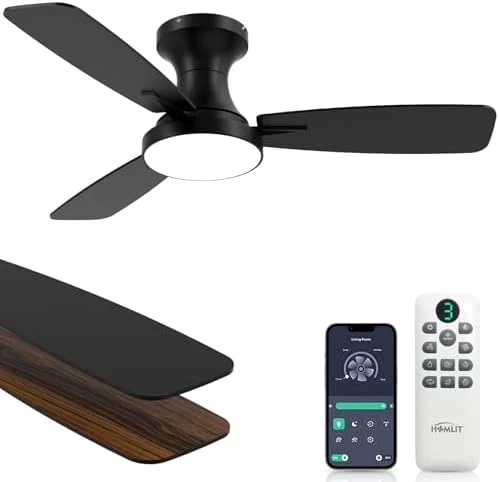 RGB Ceiling Fan with Light — Smart Fan, Homlit
