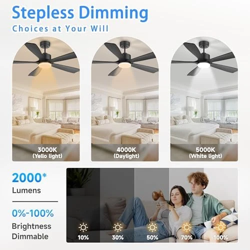 Smart Ceiling Fan with Lights — Smart Fan, GentleBreeze