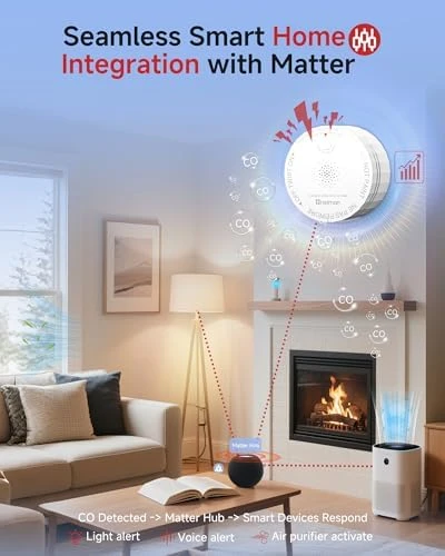 Carbon Monoxide Detector — Air Quality Monitor, HEIMAN
