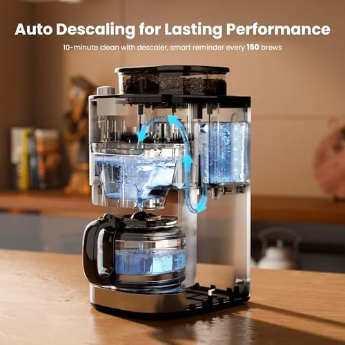 Digital Drip Coffee Maker with Built-In Grinder — Coffee Maker, Kismile