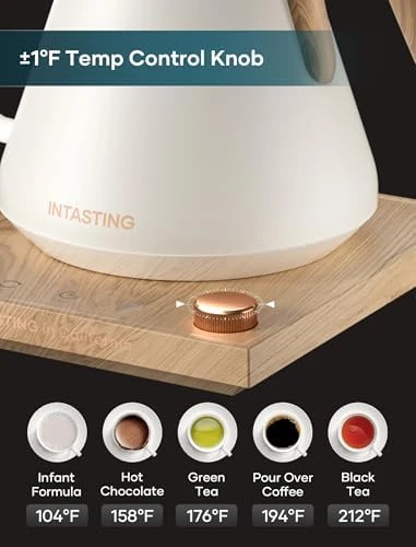 Gooseneck Electric Kettle with Precise Temperature Control — Electric Kettle, INTASTING