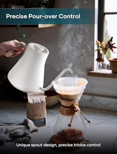 Gooseneck Electric Kettle with Precise Temperature Control — Electric Kettle, INTASTING