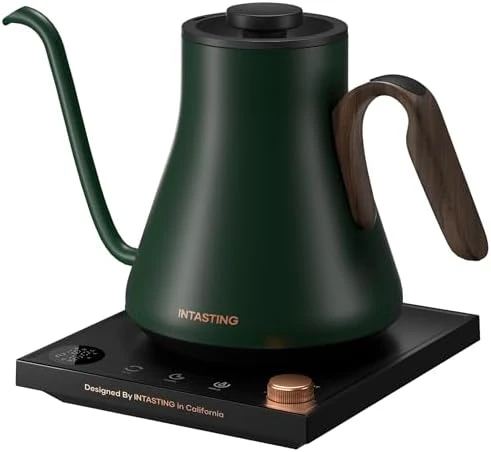 Gooseneck Electric Kettle with Precise Temperature Control — Electric Kettle, INTASTING