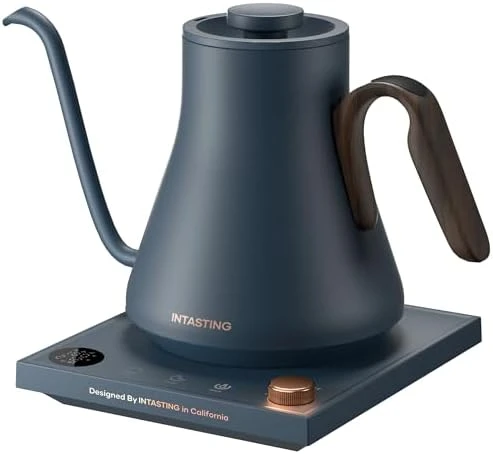 Gooseneck Electric Kettle with Precise Temperature Control — Electric Kettle, INTASTING