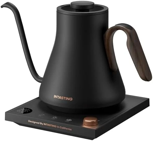 Gooseneck Electric Kettle with Precise Temperature Control — Electric Kettle, INTASTING