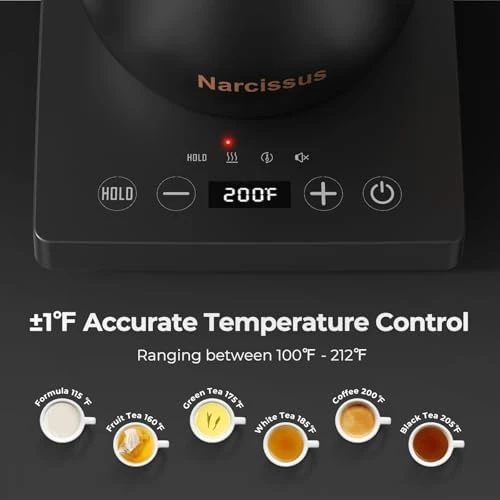 Gooseneck Electric Kettle with Temperature Control — Electric Kettle, Narcissus