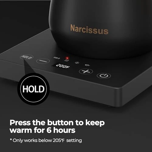 Gooseneck Electric Kettle with Temperature Control — Electric Kettle, Narcissus