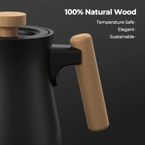 Gooseneck Electric Kettle with Temperature Control — Electric Kettle, Narcissus