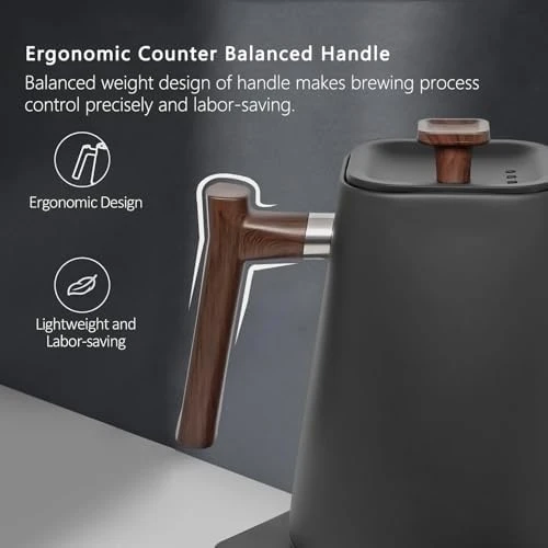 Gooseneck Electric Kettle with Temperature Control — Electric Kettle, SMANGPER
