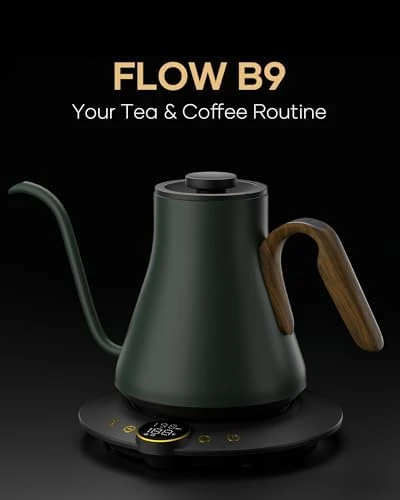 Gooseneck Electric Kettle — Electric Kettle, Cocinare