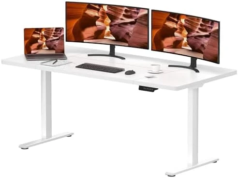 Dual Motor Standing Desk — Standing Desk, FitStand