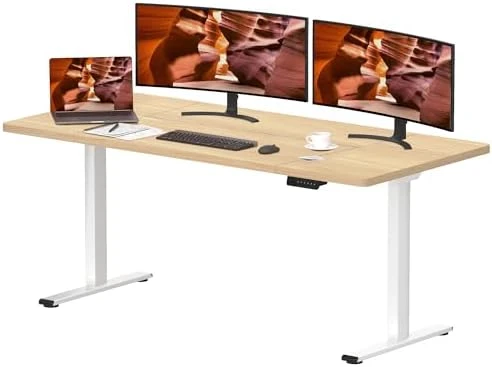 Dual Motor Standing Desk — Standing Desk, FitStand