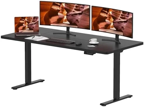Dual Motor Standing Desk — Standing Desk, FitStand