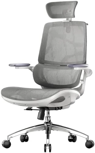 Ergonomic Office Chair with 3D Flip-up Armrests and Dual Back Design — Smart Chairs, SIHOO