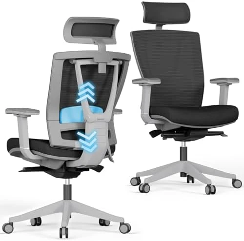 Ergonomic Office Chair with Adjustable Lumbar Support and Headrest — Smart Chairs, Autonomous