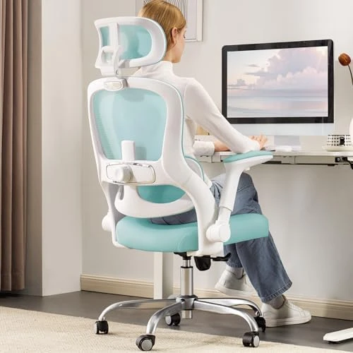 Ergonomic Office Chair with Back Support — Smart Chairs, Veratric