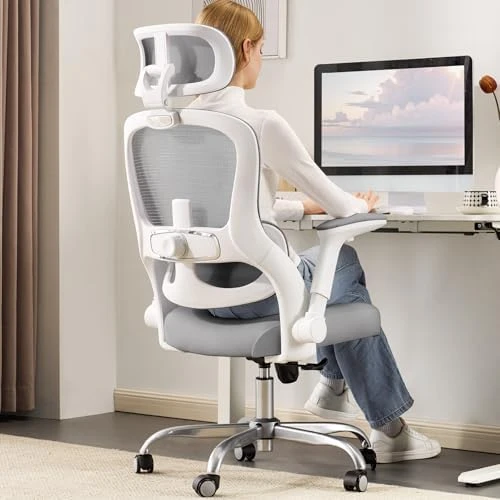 Ergonomic Office Chair with Back Support — Smart Chairs, Veratric