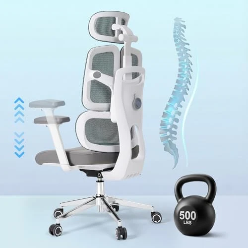 Ergonomic Office Chair — Smart Chairs, ESaure