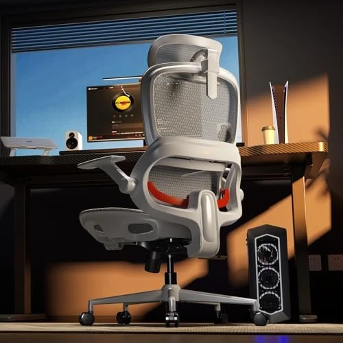 Office Chair, Comfy Ergonomic Office Chair, High Back Computer Chair with Adaptive Lumbar Support & Wide Headrest,... — Smart Chairs, SIHOO
