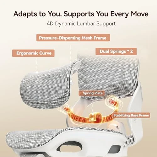 Office Chair, Comfy Ergonomic Office Chair, High Back Computer Chair with Adaptive Lumbar Support & Wide Headrest,... — Smart Chairs, SIHOO