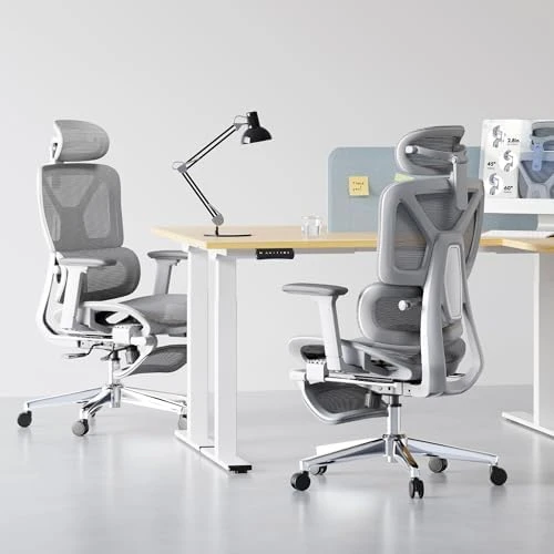 Premium Ergonomic Office Chair with Footrest — Smart Chairs, FLEXISPOT