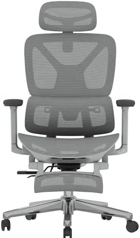 Premium Ergonomic Office Chair with Footrest — Smart Chairs, FLEXISPOT