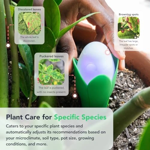 AI-Powered Smart Plant Monitor — Soil Moisture Sensor, Flora