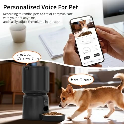 Automatic Cat Feeder and Waterer Set with Camera — Automatic Pet Feeder, YFL