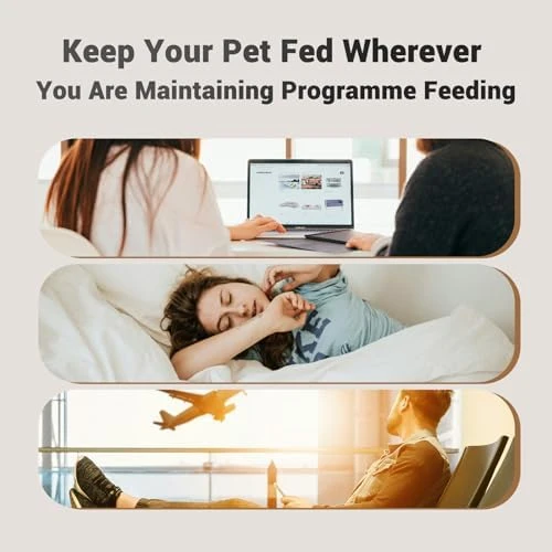 Automatic Pet Feeder with Timer and Dual Power — Automatic Pet Feeder, PETULTRA
