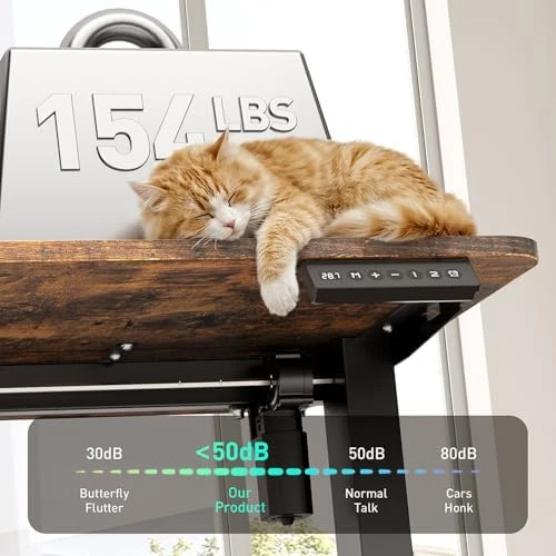 Electric Standing Desk Adjustable Height, Ergonomic Sit Stand Computer Desk — Standing Desk, VVENACE