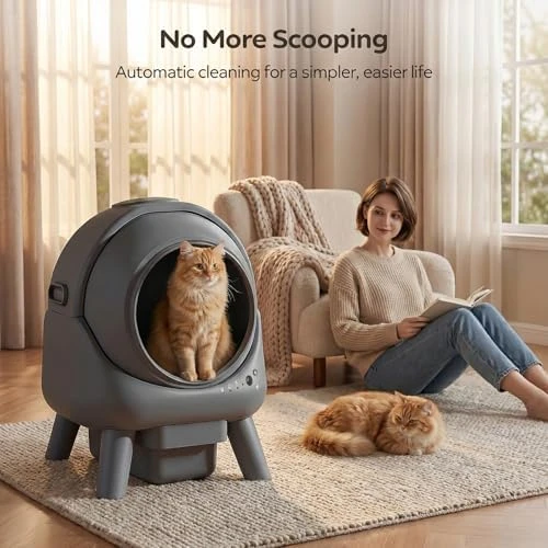 Automatic Self-Cleaning Litter Box — Self-Cleaning Litter Box, Beokeo