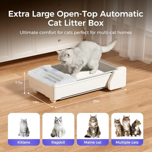 Open-Top Automatic Litter Box — Self-Cleaning Litter Box, Robotail