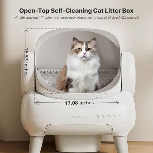 Open-Top Self Cleaning Cat Litter Box — Self-Cleaning Litter Box, Neakasa