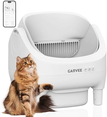 Self Cleaning Litter Box — Self-Cleaning Litter Box, ExploreHorizon