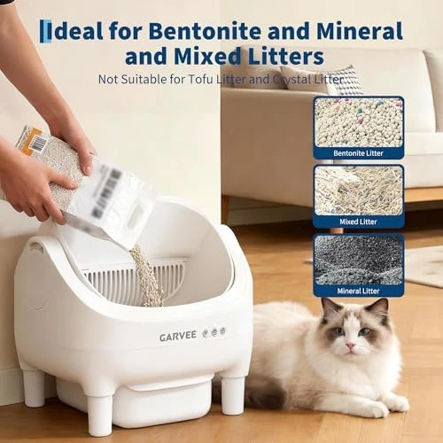 Self Cleaning Litter Box — Self-Cleaning Litter Box, ExploreHorizon
