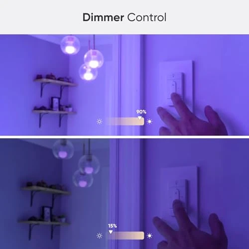 Smart Switch with Motion Sensor and Dimmer — Smart Switch, Nanoleaf