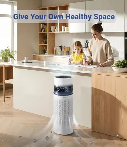 2 in 1 Air Purifier with Humidifier — Air Purifier, AUPU