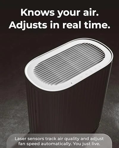 Air Purifier Max for Home — Air Purifier, Windmill