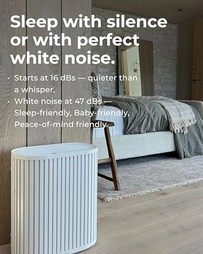 Air Purifier Max for Home — Air Purifier, Windmill
